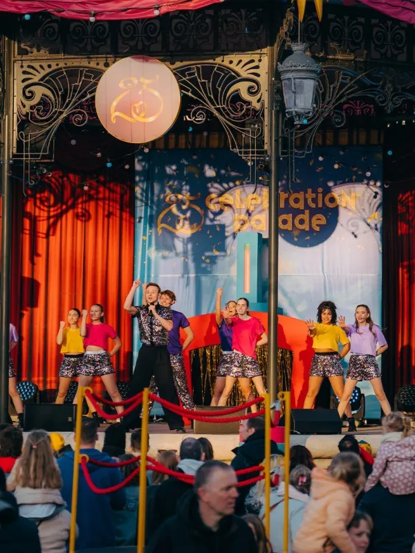 De Grote Top 25 Meezingshow